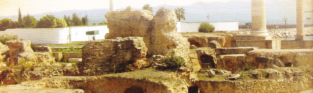 Ruinele Cartaginei